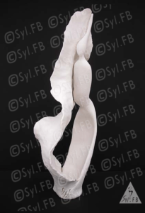 Végétale consolation